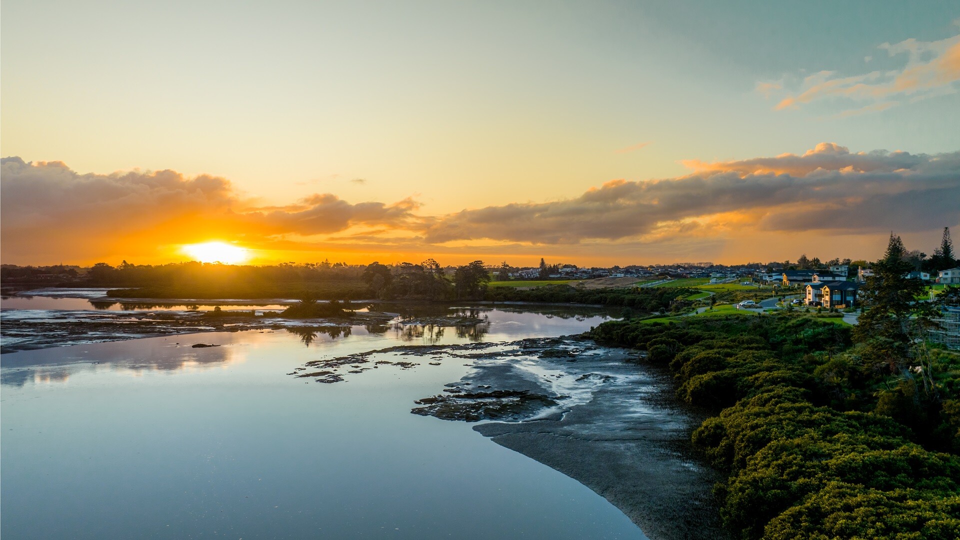 estuary