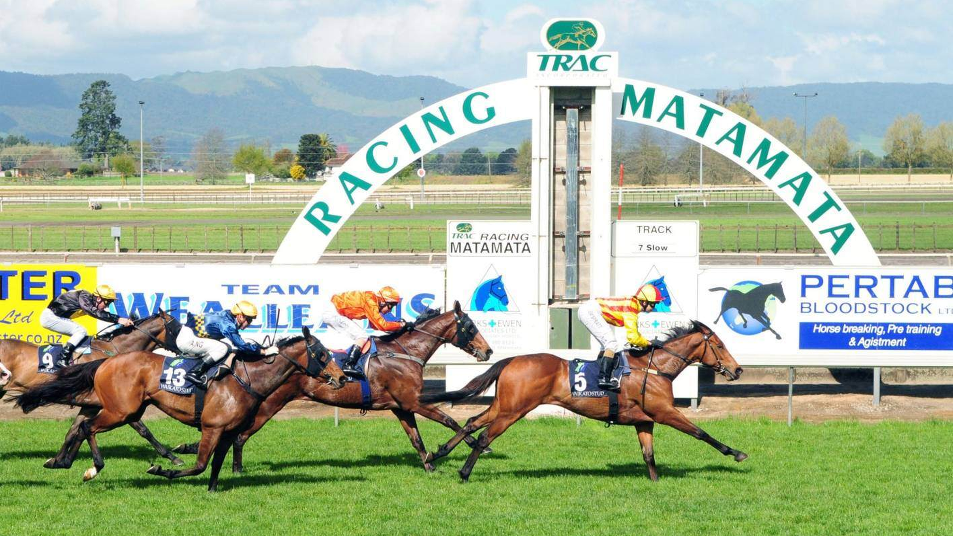 36-Tokotoko-Parade--Matamata---Horse-Racing