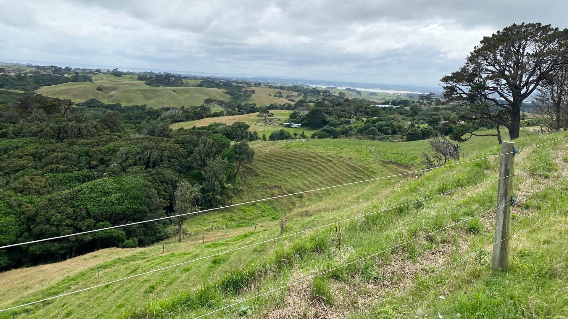 Lot-1-Kohekohe-Kariotahi-Rd---site-2