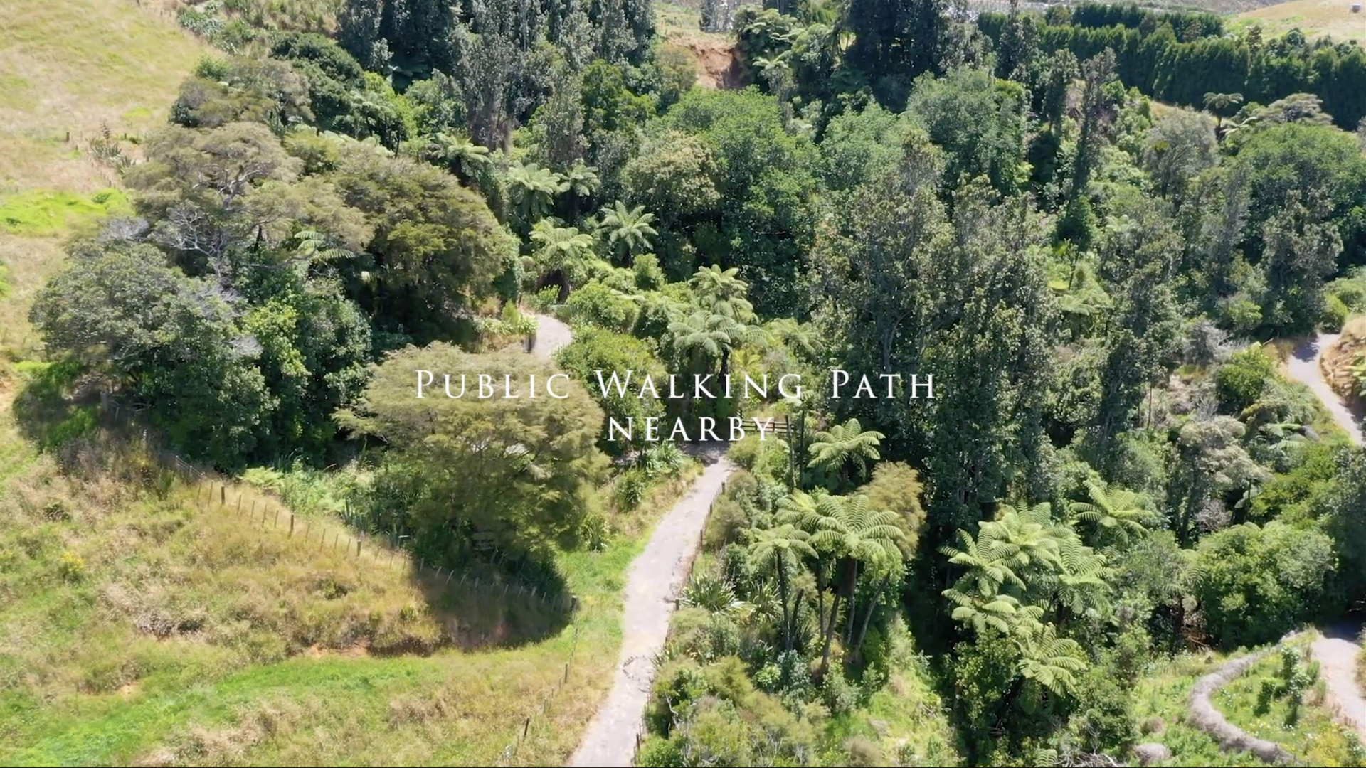 public walking path photo