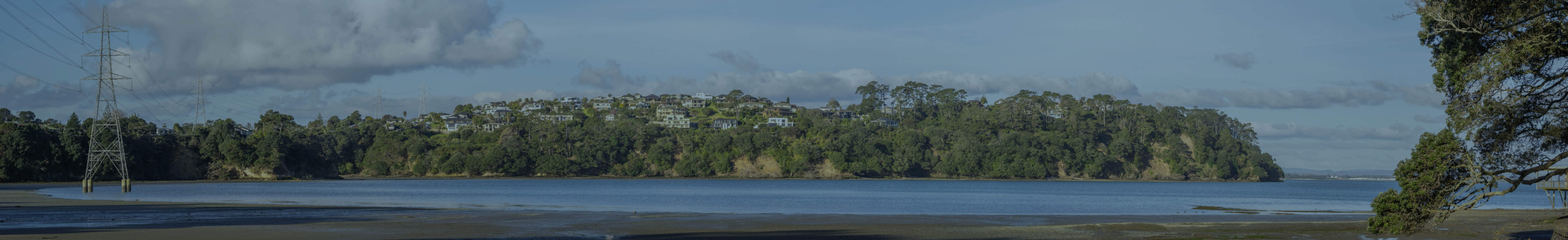 Franchise Banner - Manukau