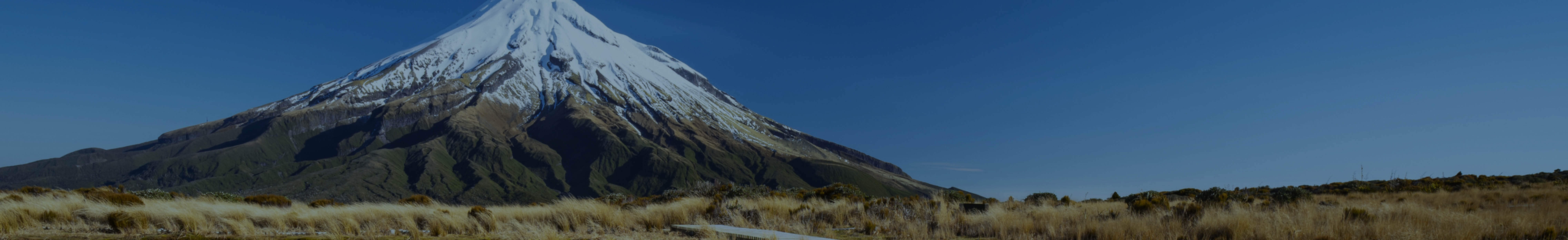 Franchise Banner - Taranaki