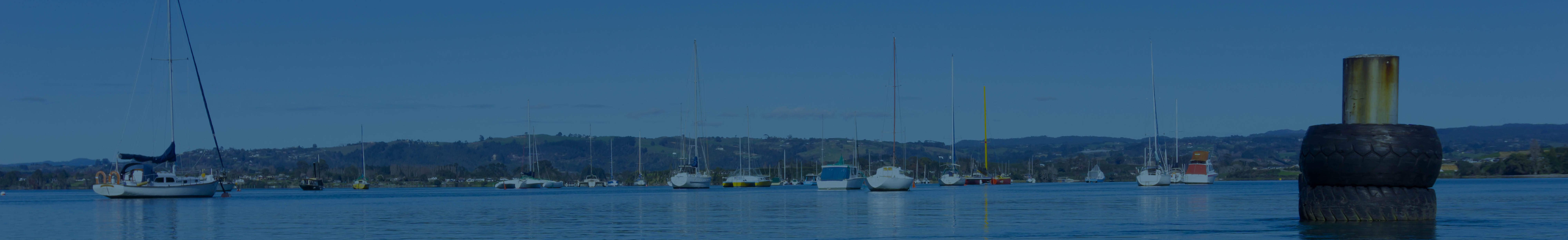 Franchise Banner - Tauranga North