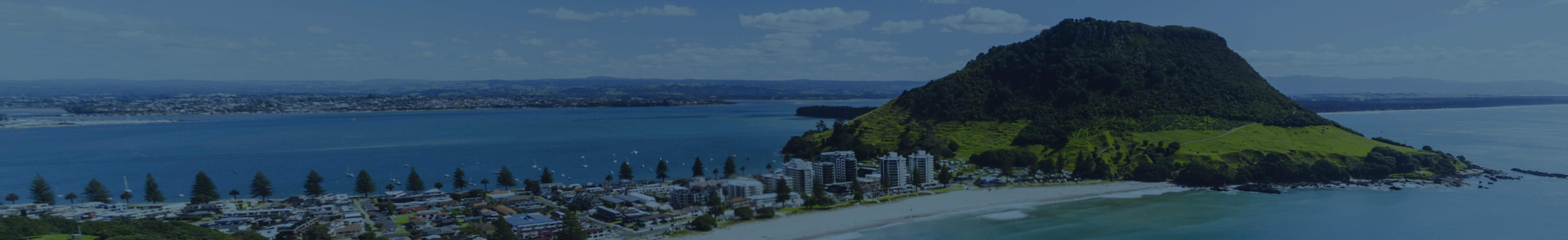 Franchise Banner - Tauranga South