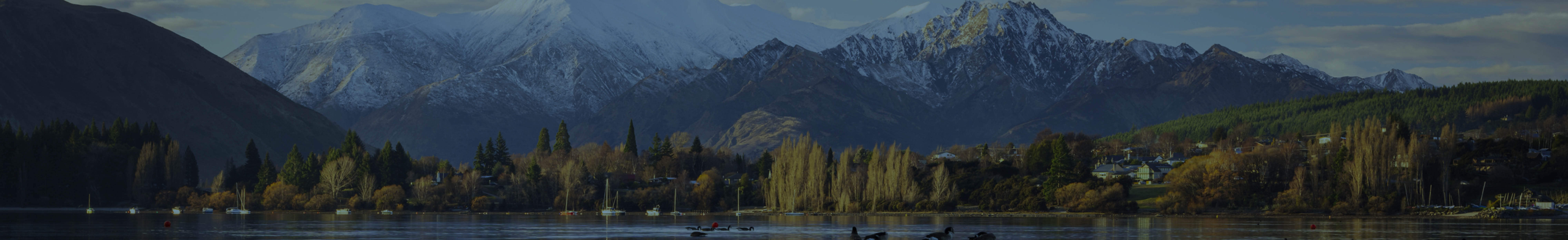 Franchise Banner - Wanaka