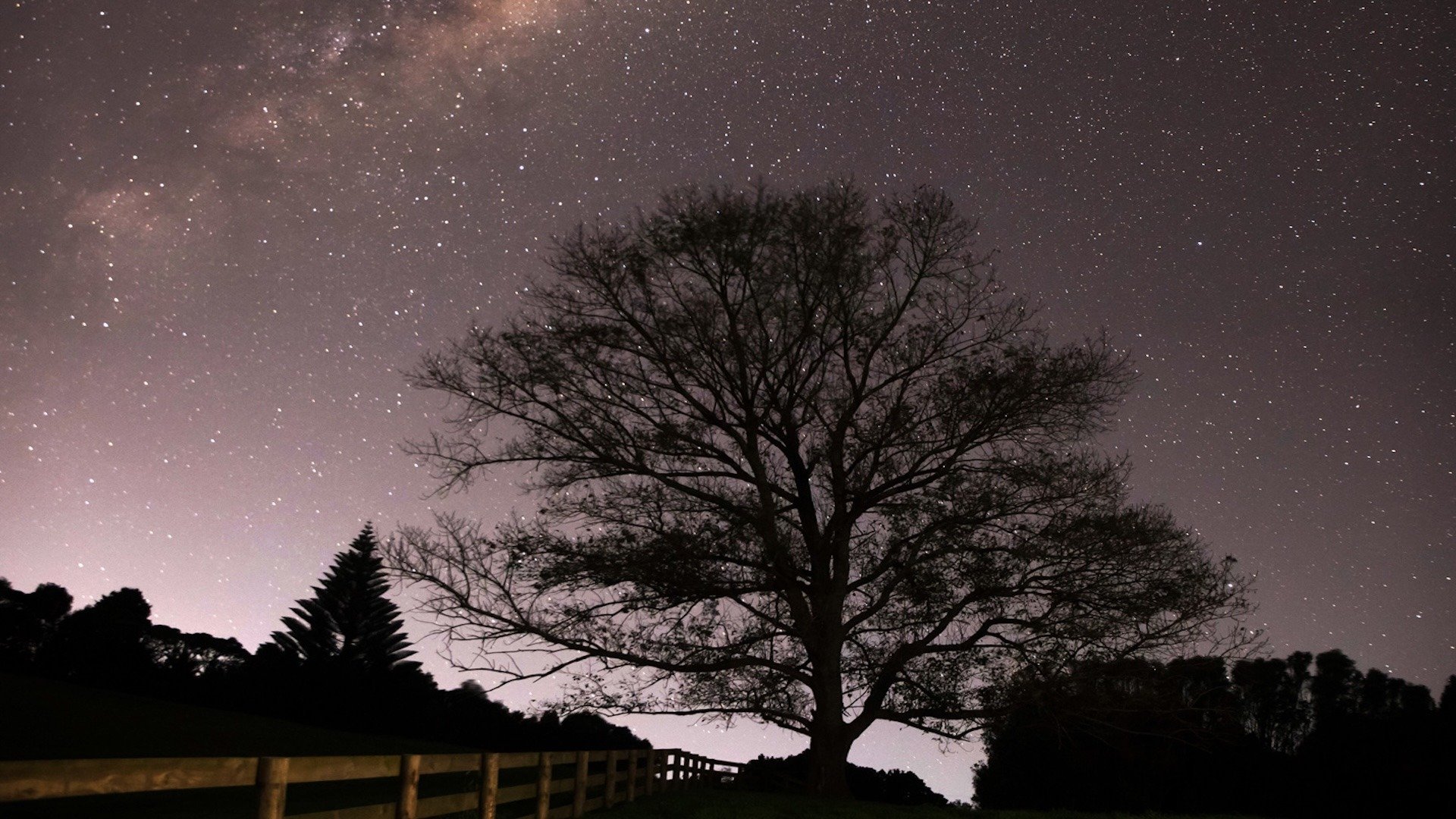 night sky from site